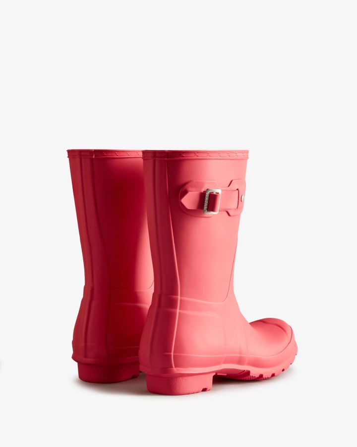 Botas De Agua Cortas Originales Mujer Hunter Rowan Rosa